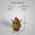 Indian queen bust sculpture with detailed jewelry and attire, antique bronze finish, ideal for home and garden decor